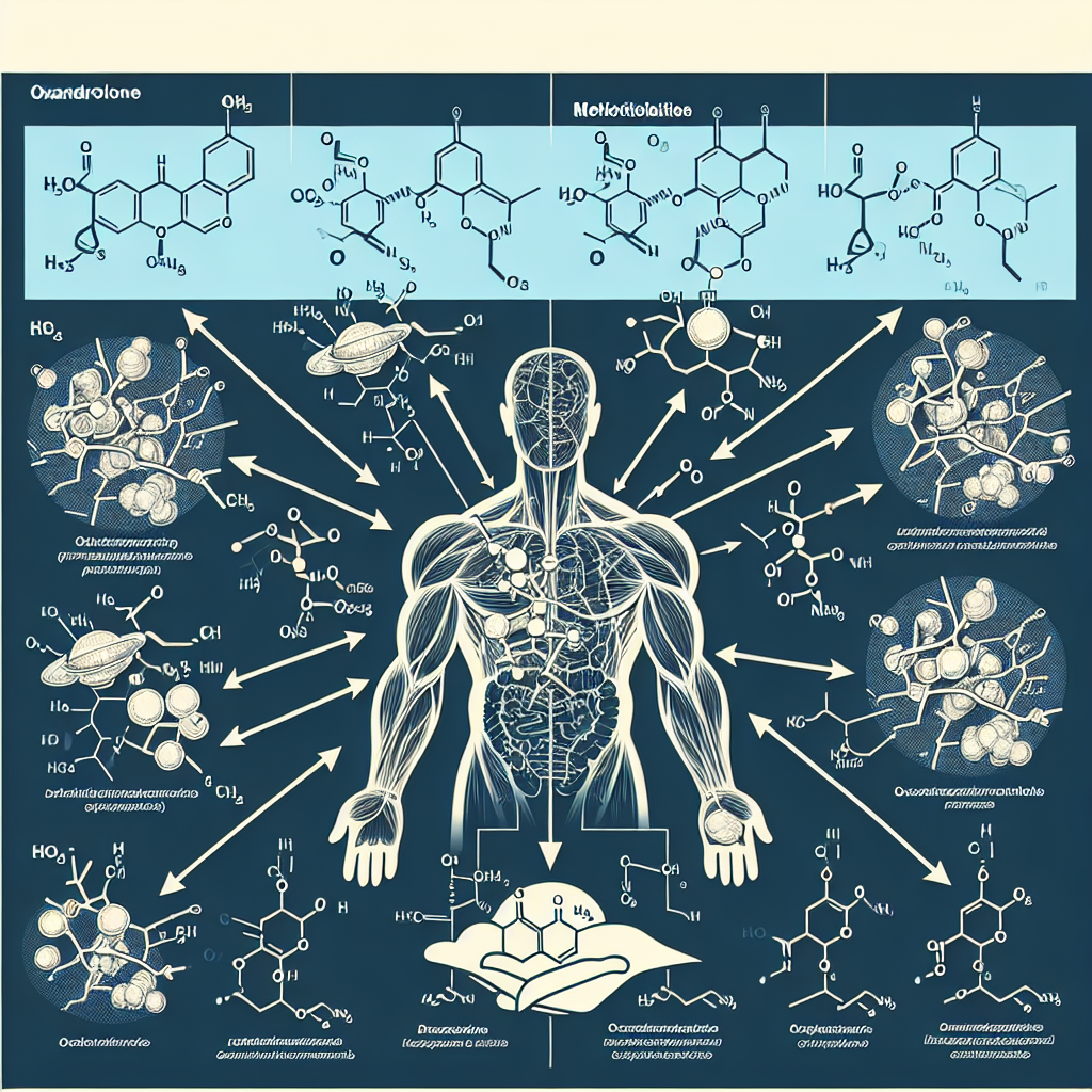 Metabolites of oxandrolone and their activity